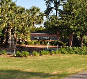 Wild Wing Plantation